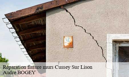 Réparation fissure murs  cussey-sur-lison-25440 Andre BOGEY