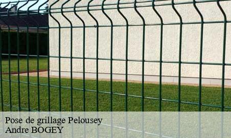 Pose de grillage  pelousey-25170 Andre BOGEY